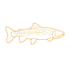 Animals Freshwater Fish Lahontan Cutthroat Trout Craft Design Svg File, Free Vectors File